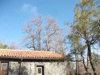 Rifugio Salto del Cane